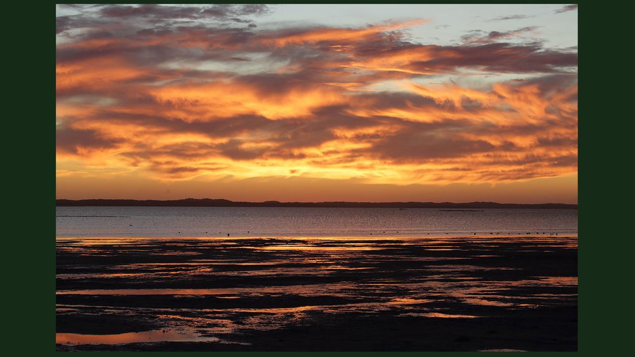 Gumnut Getaway Bnb Goolwa North エクステリア 写真